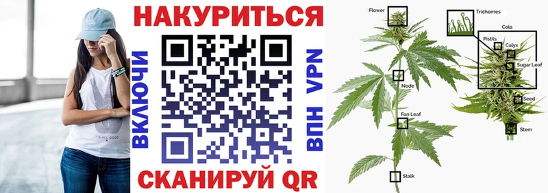 Галлюциногенные грибы Руза