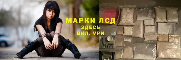СК Аркадак