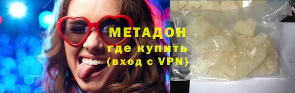 прущие грибы Балабаново