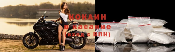 прущие грибы Балабаново