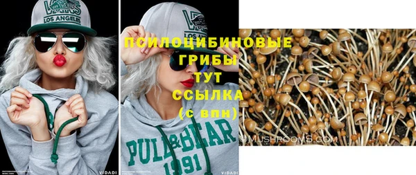 прущие грибы Балабаново