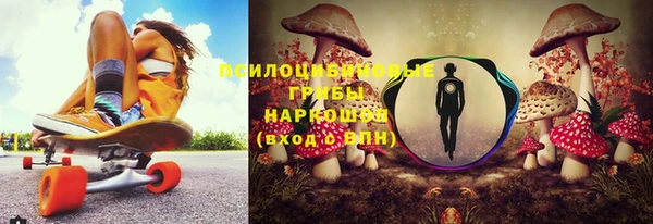 apvp Арсеньев