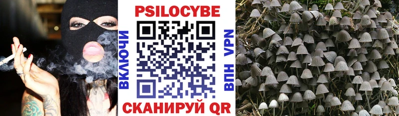 Псилоцибиновые грибы мухоморы  продажа наркотиков  Руза 